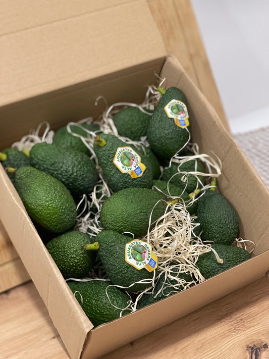 Compra aguacates directos del productor