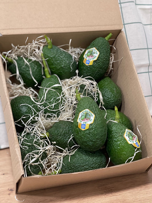 Venta de aguacates directos del campo